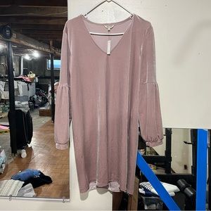 Madewell Mauve Velour long sleeve Dress size Medium NWT NW